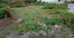 300 Gaj Plot For Sale in Gujrada Mansingh Sahastradhara Road | 20 Ft Road