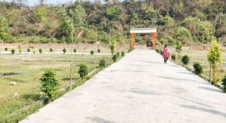Gated Plotting for Sale in Rajawala near Tilwari Bhauwala Dehradun